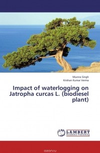  - Impact of waterlogging on Jatropha curcas L. (biodiesel plant)