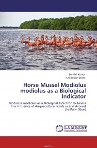 - Horse Mussel Modiolus modiolus as a   Biological Indicator