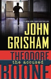 Theodore Boone: the Accused