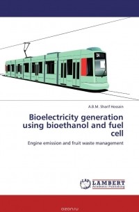 A.B.M. Sharif Hossain - Bioelectricity generation using bioethanol and fuel cell
