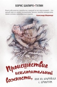 Б. Шапиро-Тулин - Происшествие исключительной важности, или из Бобруйска с приветом