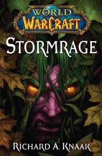 Richard A. Knaak - Stormrage