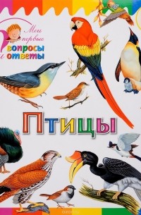 А. А. Орехов - Птицы