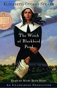 The Witch of Blackbird Pond