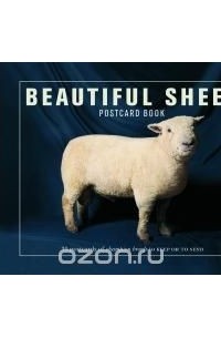  - Beautiful Sheep Postcard Book