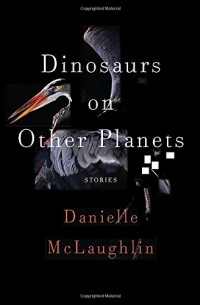 Danielle McLaughlin - Dinosaurs on Other Planets