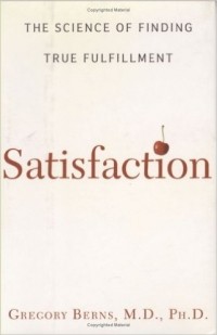 Грегори Бернс - Satisfaction: The Science of Finding True Fulfillment