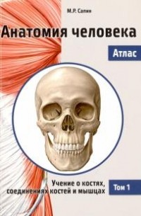 Михаил Сапин - Анатомия человека. Атлас. В 3 томах. Том 1. Учение о костях, соединениях костей и мышцах