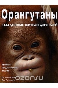  - Орангутаны