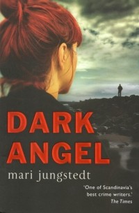 Mari Jungstedt - Dark Angel