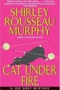 Cat Under Fire