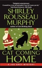 Shirley Rousseau Murphy - Cat Coming Home