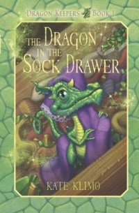 The Dragon in the Sock Drawer