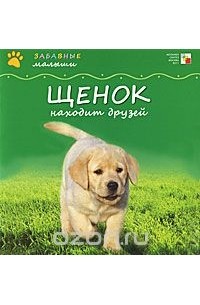 Щенок находит друзей