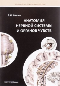 В. И. Козлов - Анатомия нервной системы и органов чувств. Учебное пособие