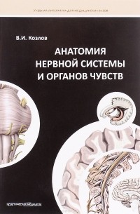 В. И. Козлов - Анатомия нервной системы и органов чувств. Учебное пособие