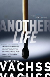 Another Life