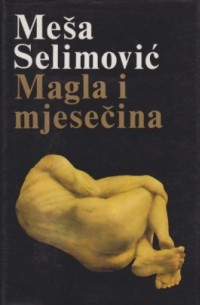 Magla i mjesečina
