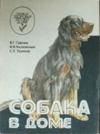  - Собака в доме
