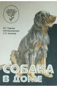  - Собака в доме