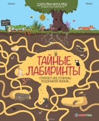  - Тайные лабиринты. Большая книга лабиринтов