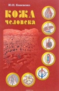 Ю. Н. Кошевенко - Кожа человека. Структура, физиология и предназначение функциональных элементов кожного органа человека