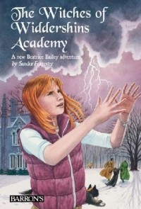 Сандра Форрестер - The Witches of Widdershins Academy