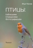 Илья Уколов - Птицы. Наблюдаем, определяем, фотографируем