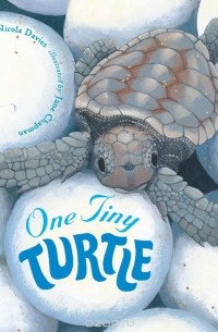 Никола Дэвис - One Tiny Turtle