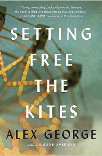 Alex George - Setting Free the Kites
