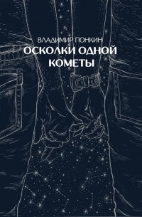 Владимир Понкин - Осколки одной кометы