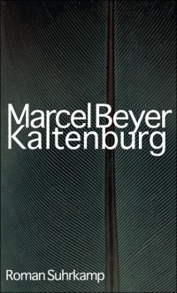 Marcel Beyer - Kaltenburg