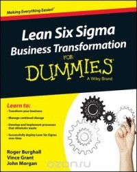  - Lean Six Sigma Business Transformation For Dummies