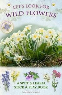  - Let's Look for Wild Flowers (+ 30 reusable stickers)