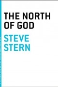 Steve Stern - The North of God