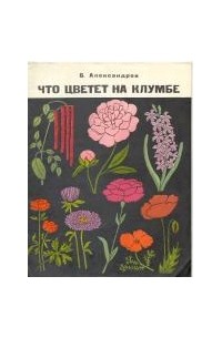 Что цветет на клумбе