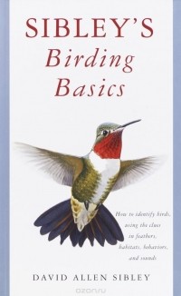 Дэвид Сибли - Sibley's Birding Basics