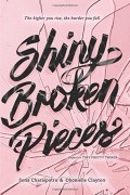  - Shiny Broken Pieces