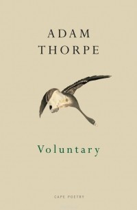 Adam Thorpe - Voluntary