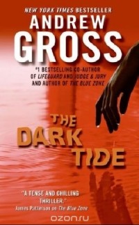 Andrew Gross - The Dark Tide