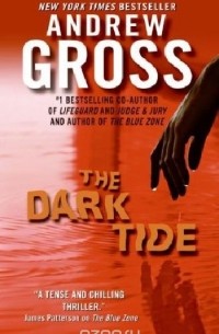 Andrew Gross - The Dark Tide