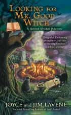 - Looking for Mr. Good Witch