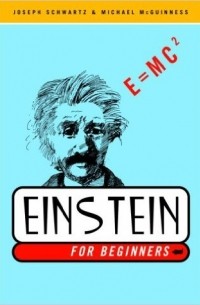  - Einstein for Beginners