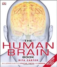 Rita Carter - The Human Brain Book