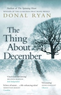 Donal Ryan - The Thing About December