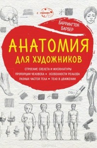 Анатомия для художников