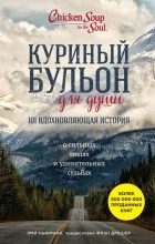 Эми Ньюмарк - Куриный бульон для души. 101 вдохновляющая история о сильных людях и удивительных судьбах