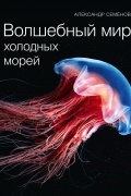 Волшебный мир холодных морей