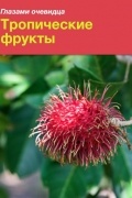 Тропические фрукты