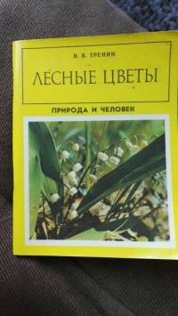 В. В. Тренин - Лесные цветы